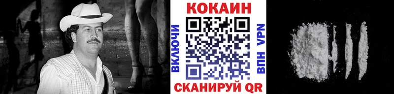 купить наркотики цена  Рассказово  Кокаин Fish Scale 