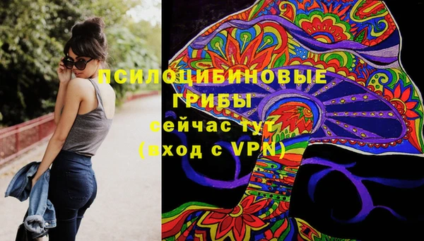 шишки Абинск